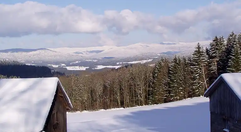 Ferienhaus in Sedlhof