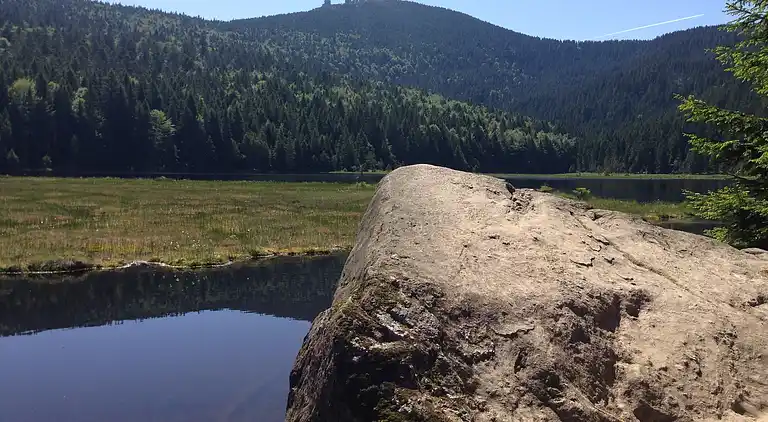 Ferielejlighed i Tresdorf