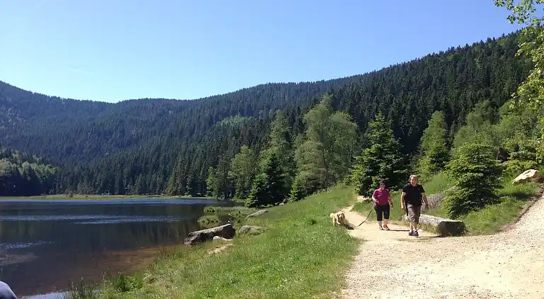 Sommerhus i Schöfweg