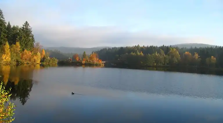 Holiday home in Fichtelberg