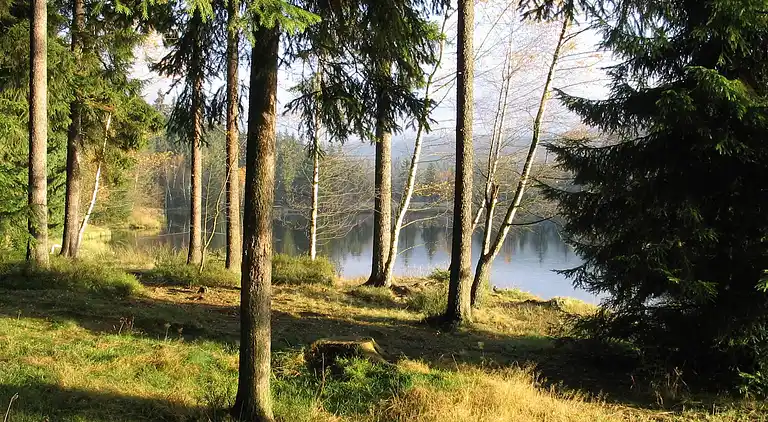 Holiday home in Fichtelberg