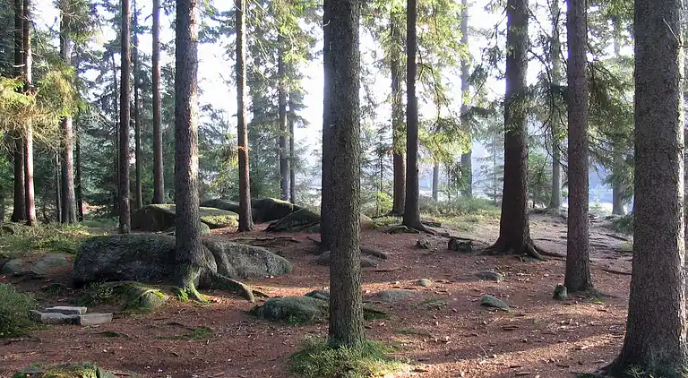 Holiday home in Fichtelberg