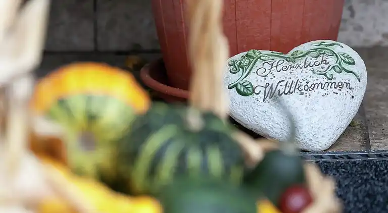 Sommerhus i Schönbrunn