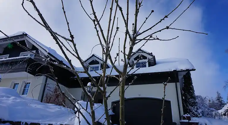 Apartment in Frauenwald