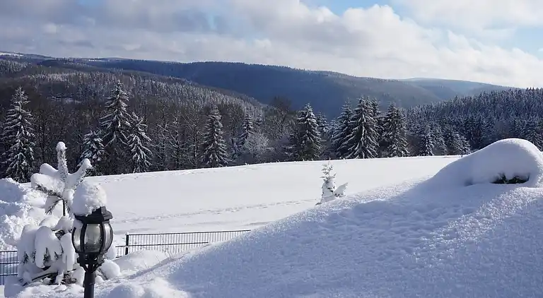 Apartment in Frauenwald