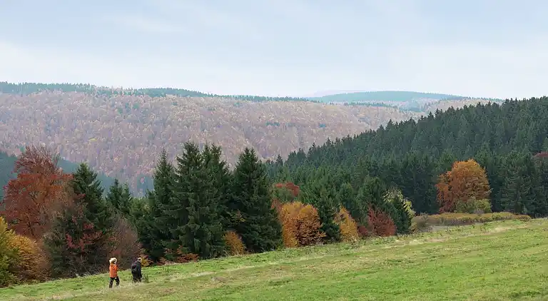 Apartment in Frauenwald