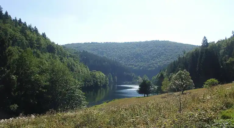 Apartment in Frauenwald