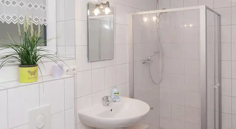 Ferielejlighed i Frauenwald