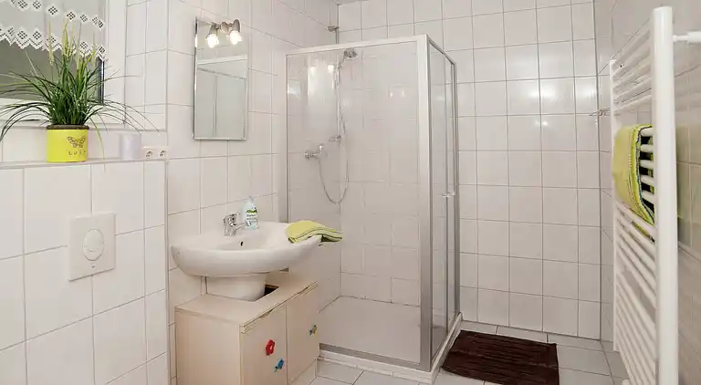 Ferielejlighed i Frauenwald