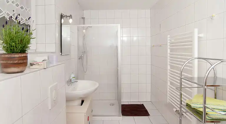 Ferielejlighed i Frauenwald