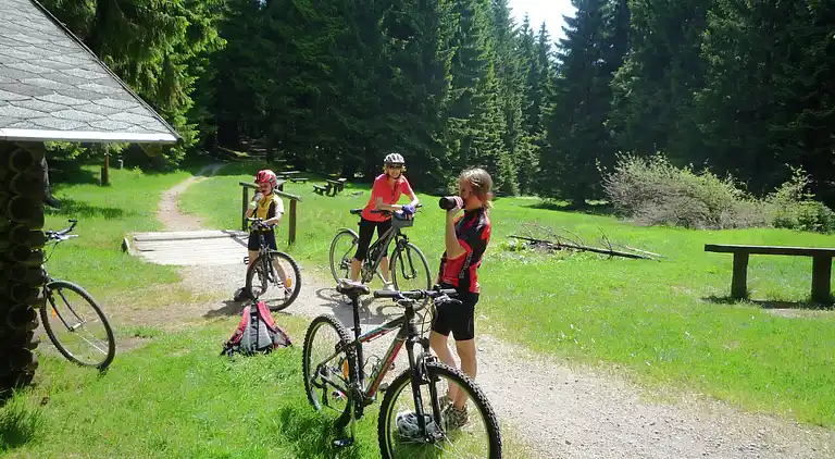 Ferielejlighed i Frauenwald