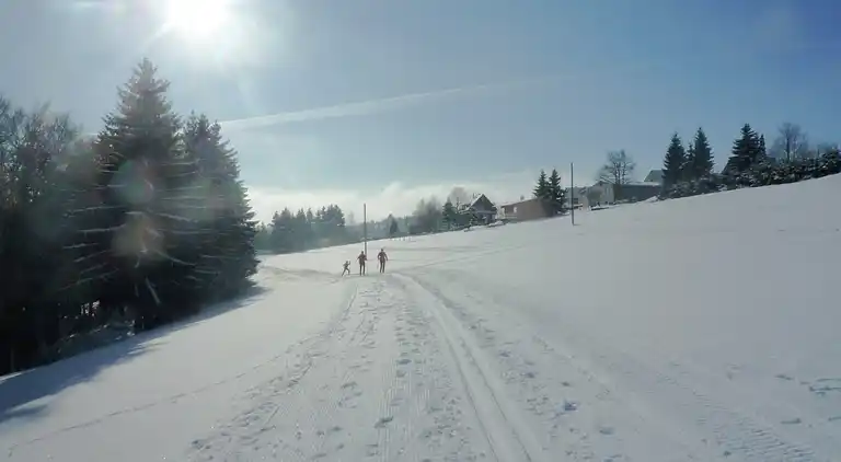 Ferielejlighed i Frauenwald