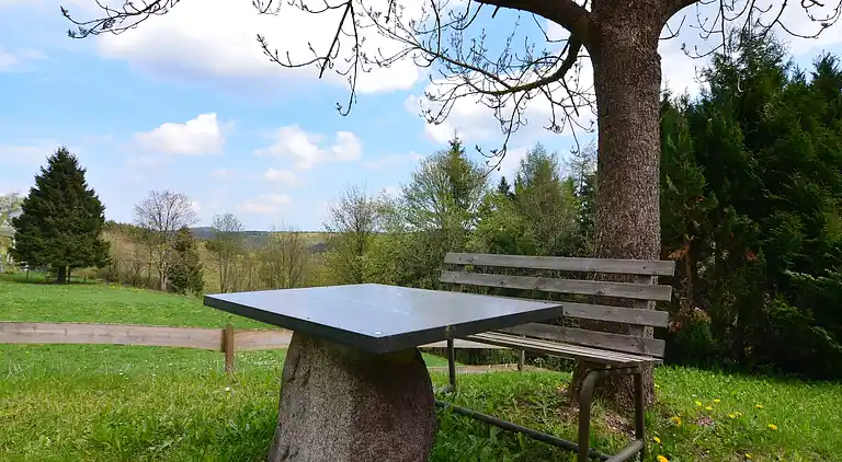 Ferielejlighed i Frauenwald