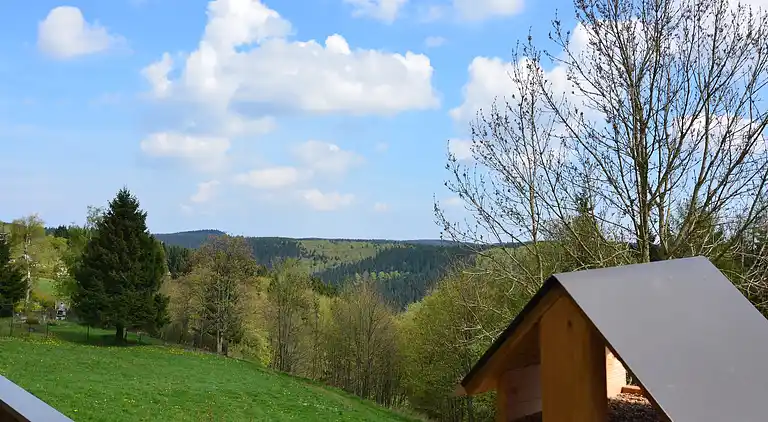 Ferielejlighed i Frauenwald