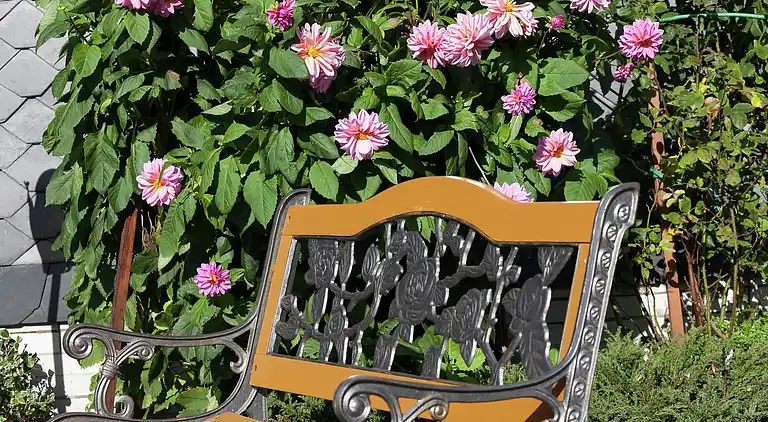 Ferielejlighed i Neu-Deesbach