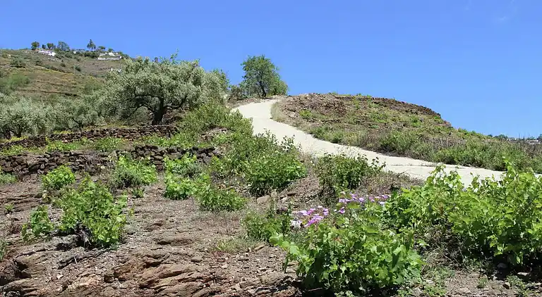 Cottage in Sayalonga