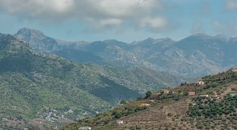 Cottage in Sayalonga