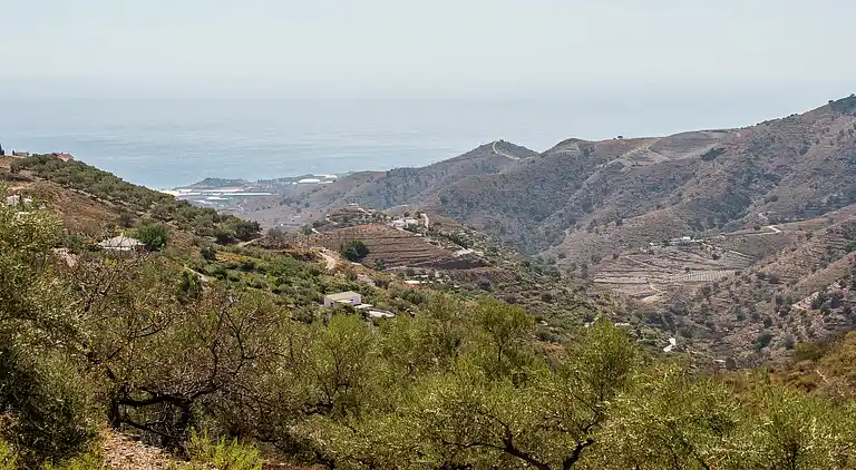 Cottage in Sayalonga