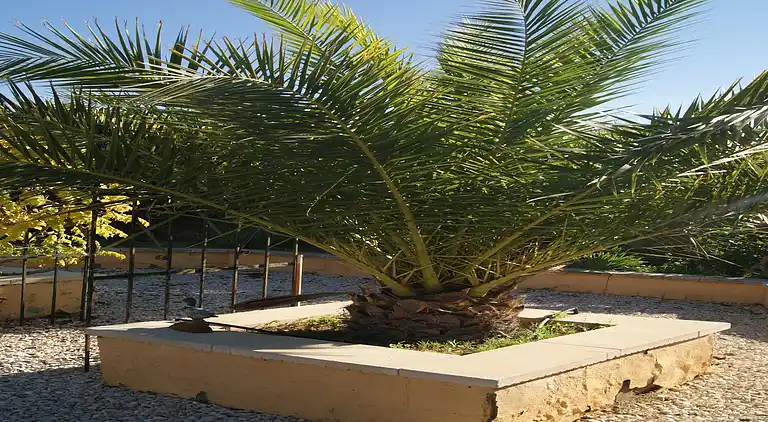 Feriebolig i Finestrat