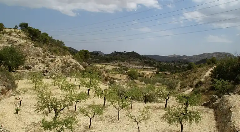 Manor house in Jijona|Xixona