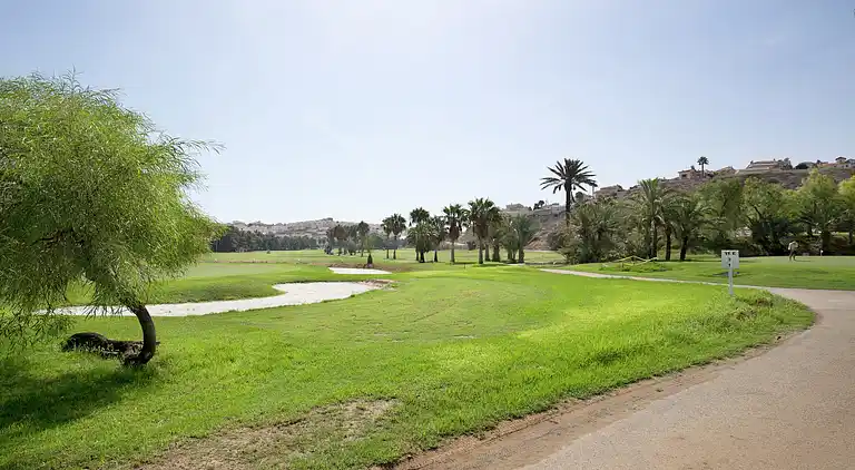 Semesterbostad i Rojales