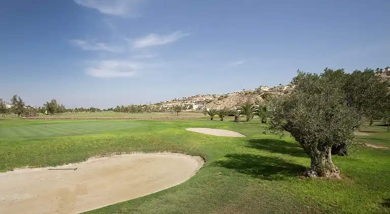 Semesterbostad i Rojales