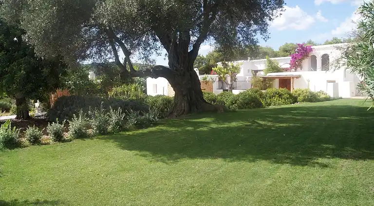 Holiday home in Can Negret