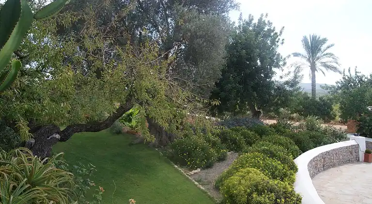 Holiday home in Can Negret