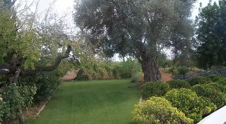 Holiday home in Can Negret