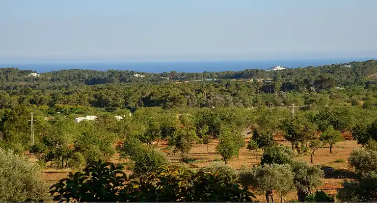 Herenhuis in Sant Carles de Peralta