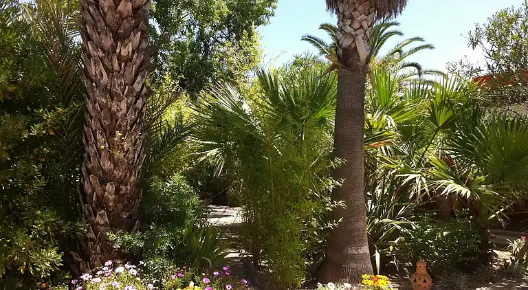 Sommerhus i Sant Josep de sa Talaia