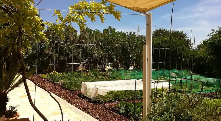 Sommerhus i Sant Josep de sa Talaia