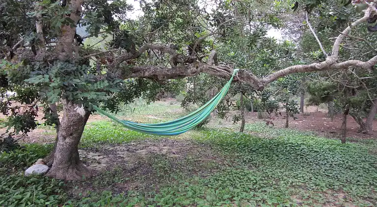 Holiday home in Sant Josep de sa Talaia