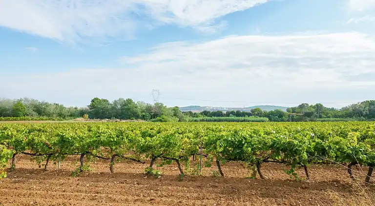 Cottage in Pacs del Penedès