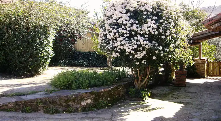 Holiday home in Valencia de Alcántara
