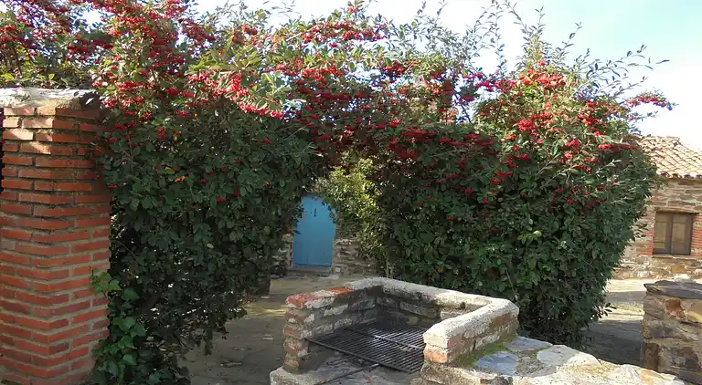 Holiday home in Valencia de Alcántara