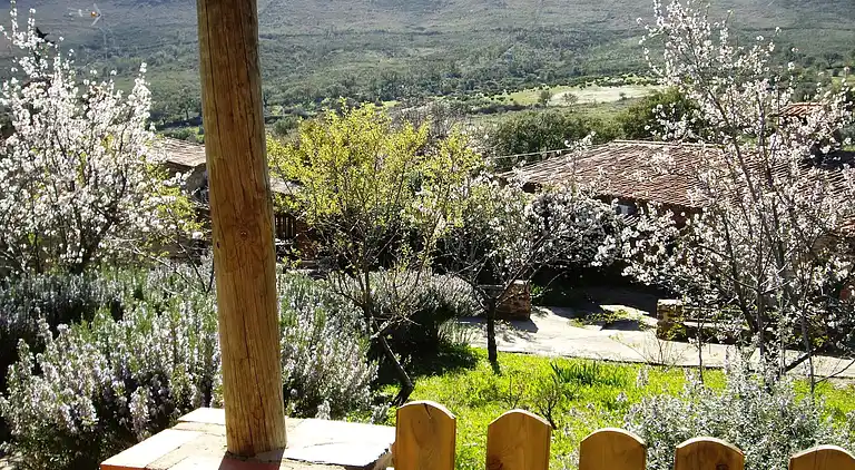 Holiday home in Valencia de Alcántara