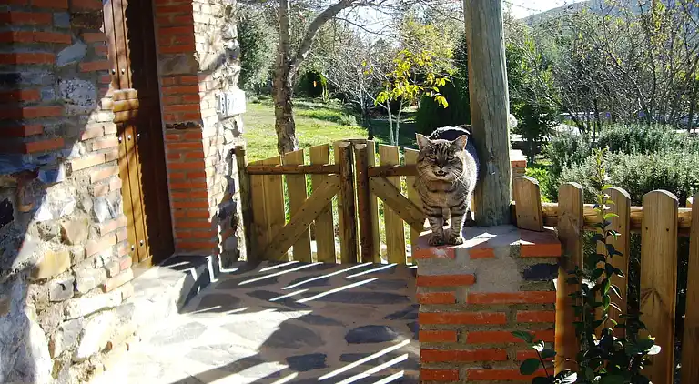 Cottage in Valencia de Alcántara