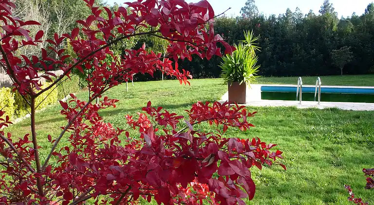 Vakantiehuis in Santiago de Compostella