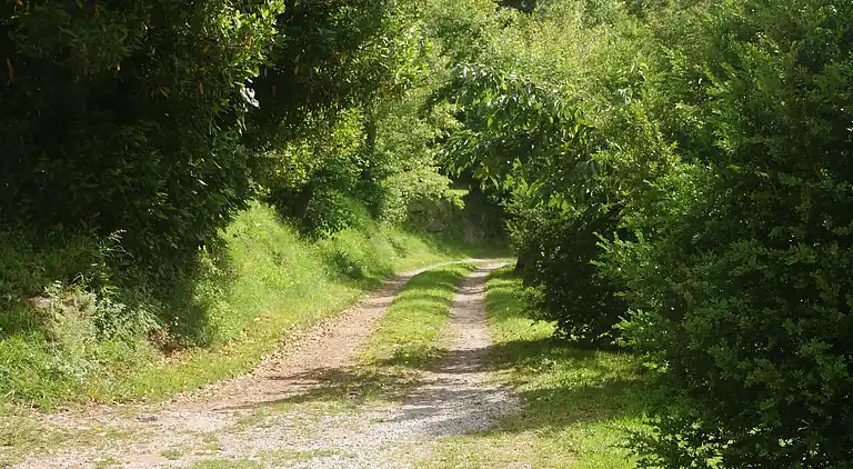 Sommerhus i Riudaura