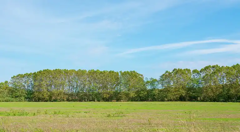 Feriebolig i Llagostera