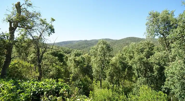 Villa in Romanyà de la Selva