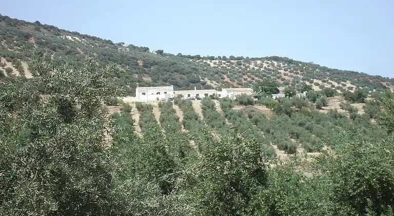 Farm house in Fuentes de Cesna
