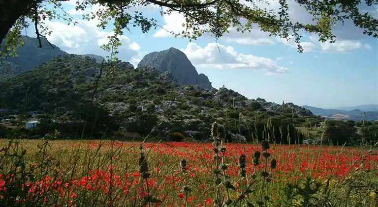 Villa in Venta De La Leche