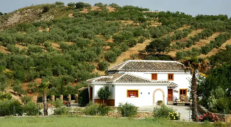 Hytte i Fuente Camacho