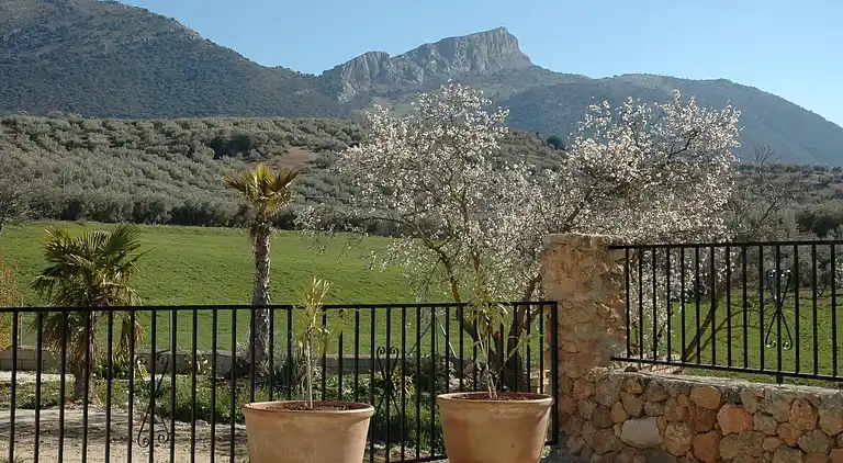 Hytte i Fuente Camacho