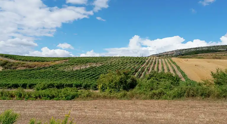 Cottage in Almunia de San Juan