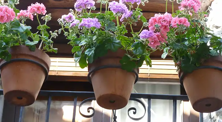 Cottage in Castigaleu