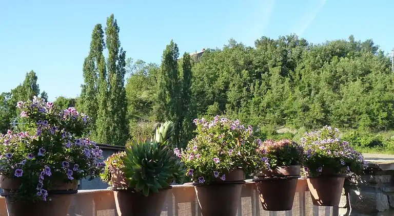 Cottage in Castigaleu