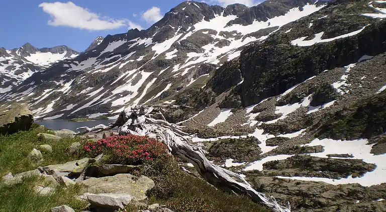 Hytte i Sallent de Gállego